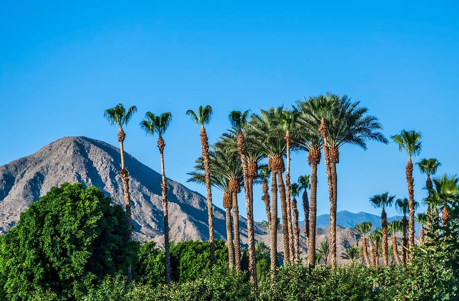 Palm Springs LGBT Retirement