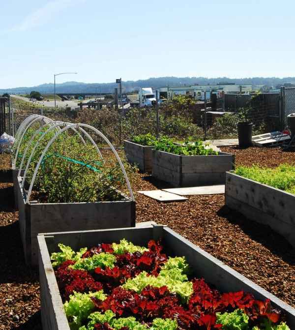 Butler Valley in Arcata, CA Reviews, Complaints, Pricing, & Photos