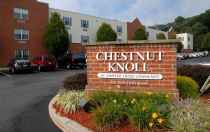Chestnut Knoll