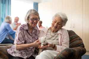 Arden House Rehabilitation and Nursing Center - Hamden, CT